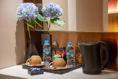 Ginkgo Hotel Hanoi – 照片 12